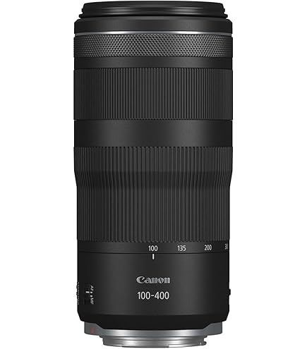 Canon EF 75-300mm f/4-5.6 III Telephoto Zoom Lens for Canon SLR