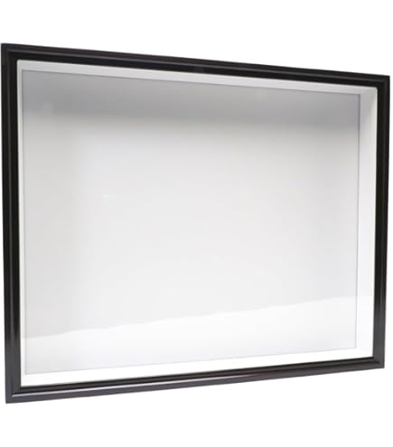 Amazon | 大型ドイツ型標本箱（黒） | 生態・採集 | おもちゃ