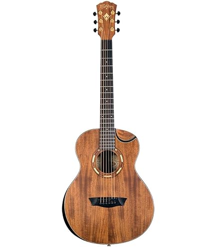 Amazon | Taylor BT2e Baby Taylor アコースティックギター with