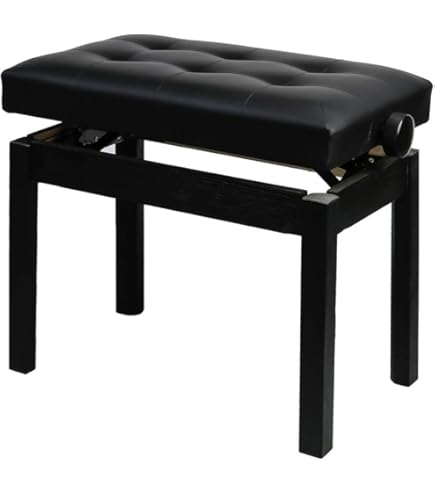 Amazon.co.jp: カシオ ( CASIO ) 純正 スタンド CS-68PBK ブラック