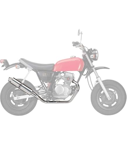 Amazon | ウイルズウィン(WirusWin) ロッドショートマフラー APE50FI