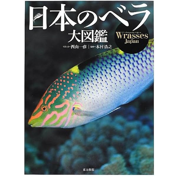 Amazon.co.jp: スズメダイ (ネイチャーウォッチングガイドブック