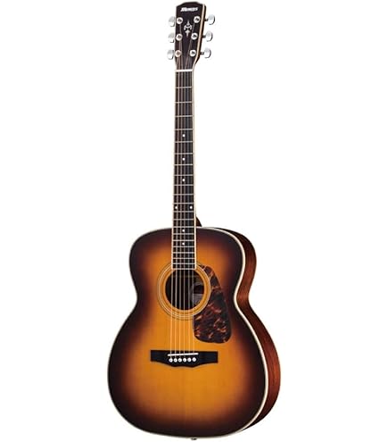 Amazon.co.jp: Morris モーリス Perfomers Edition F-021 VS