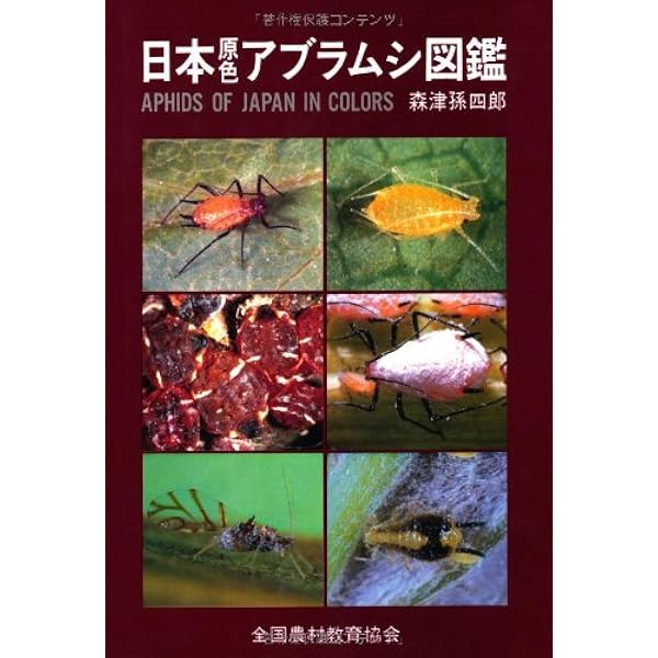 アブラムシ入門図鑑 | 松本 嘉幸 |本 | 通販 | Amazon