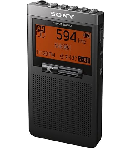 Amazon.co.jp: SONY ワンセグ搭載ラジオ ブラック XDV-G200-BC : 家電