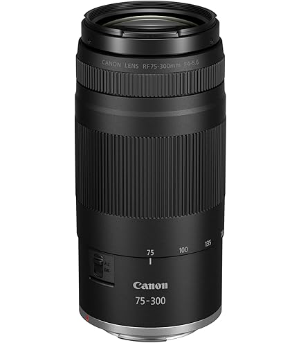 Canon EF 75-300mm USM❤超望遠レンズ❤マウントアダプター付き Amazon