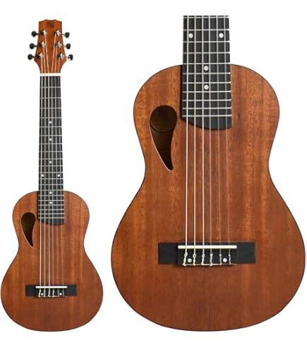 Amazon | ARIA アリア ミニアコースティックギター ASA-18 N ケース