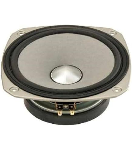 Amazon | Fostex 30cmバスレフ型 ウーハーユニットFW305 | スピーカー