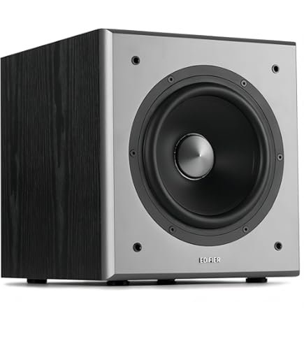 Amazon.co.jp: FOSTEX アクティブサブウーハー PM-SUBn(GB) : 家電＆カメラ