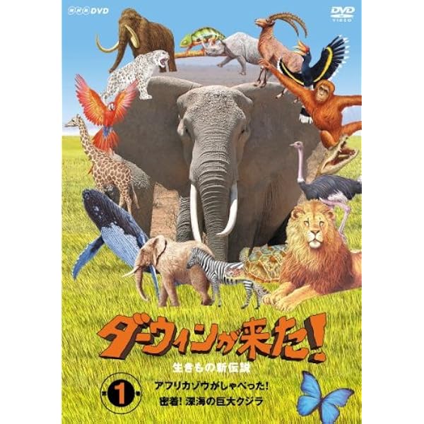 Amazon.co.jp: ダーウィンが来た!生き物新伝説 第4巻 [DVD] : DVD