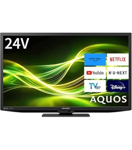 A2D94□24型ハイビジョン液晶テレビ MTH-24RG1 2022年製 Amazon