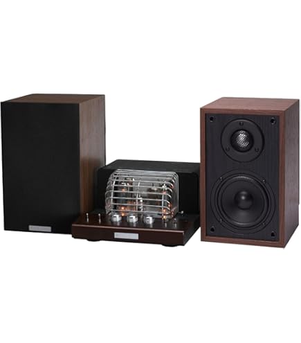 Amazon | 東京サウンド 真空管ヘッドホンアンプ VALVE-X-SE | 東京