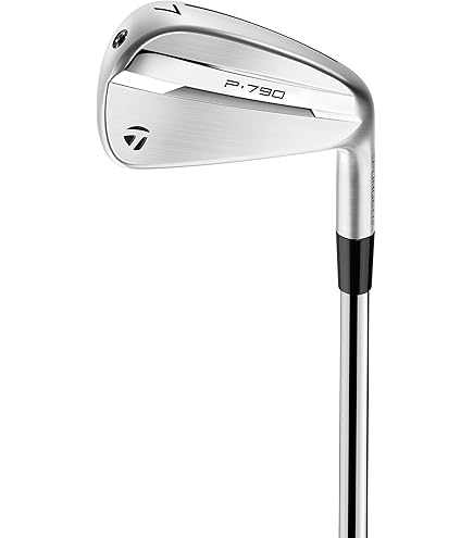 Amazon.co.jp: TaylorMade P760#4 アイアン スチール ニッポン NS Pro