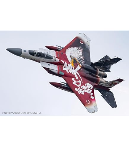 Amazon.co.jp: ハセガワ(Hasegawa) F-15J イーグル “第306飛行隊 航空