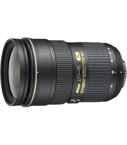 Amazon.co.jp: Nikon AF-S VR Nikkor ED 300mm F2.8G (IF) : 家電＆カメラ