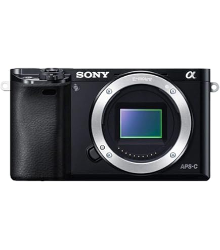 Amazon | SONY ミラーレス一眼カメラ α NEX-6ボディ ブラック NEX-6/B