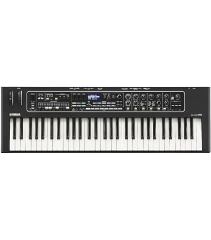 Amazon | コルグ KORG EK-50 Limitless Entertainer Keyboard