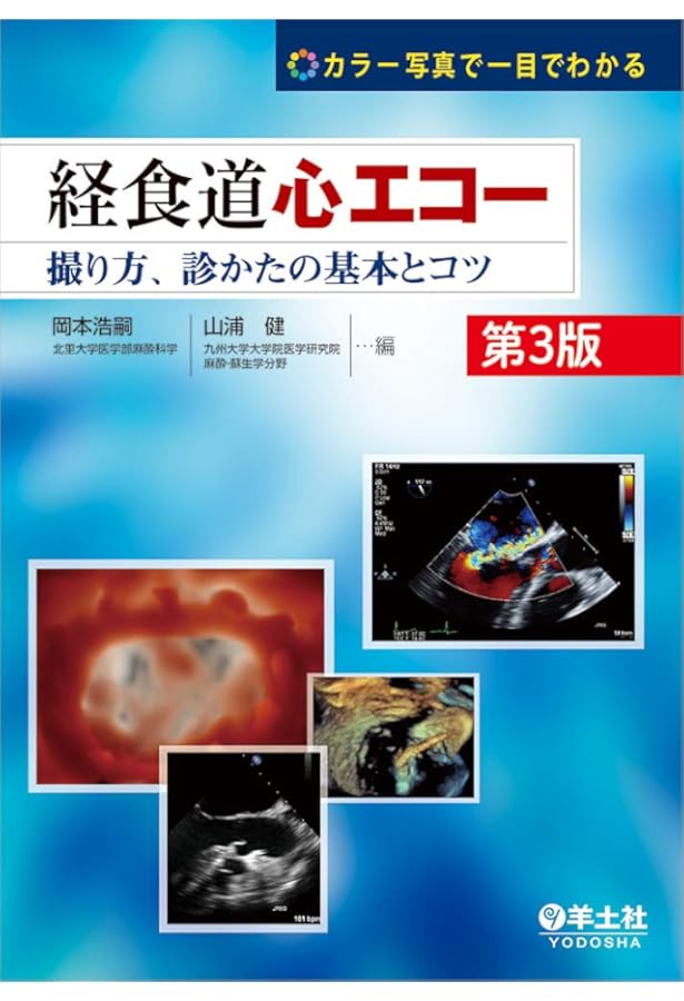 経食道心エコーハンドブック: 2D TEE | Annette Vegas, 溝部俊樹 |本