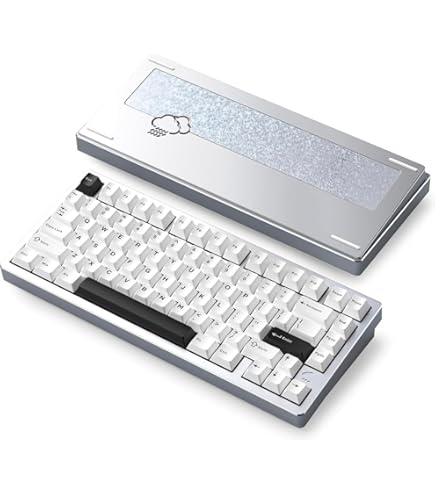 Amazon | WOBKEY RAINY 75 HE/Gateron Jade Proスイッチ搭載/ラピット