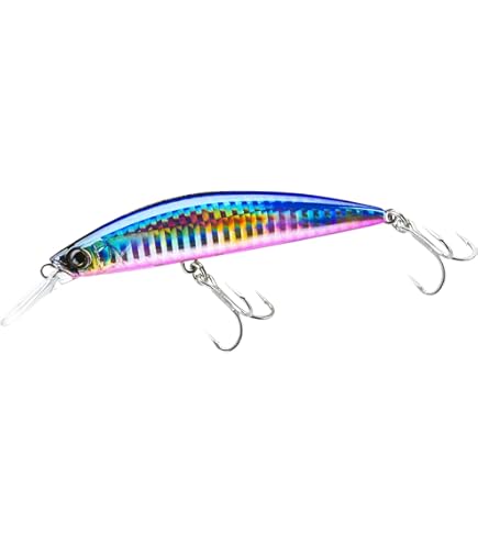 Amazon.co.jp: ローカルスタンダード ダイブベイト 165 ピンク