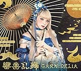 約束 -Promise code-(初回生産限定盤) | GARNiDELiA | オリコン