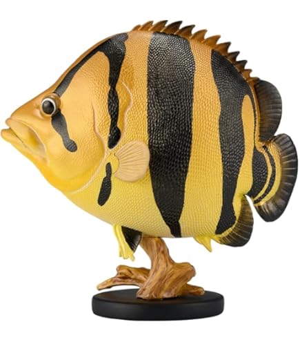 Amazon.co.jp: 【動物の惑星】クランウェルツノガエル（パイナップル