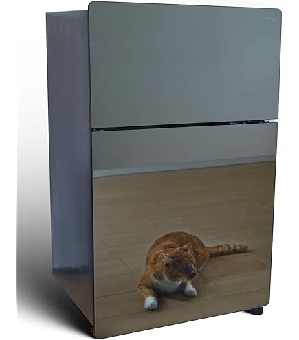 Amazon.co.jp: TOHOTAIYO 2ドア冷蔵庫 118L 左右ドア開き付け替え可能