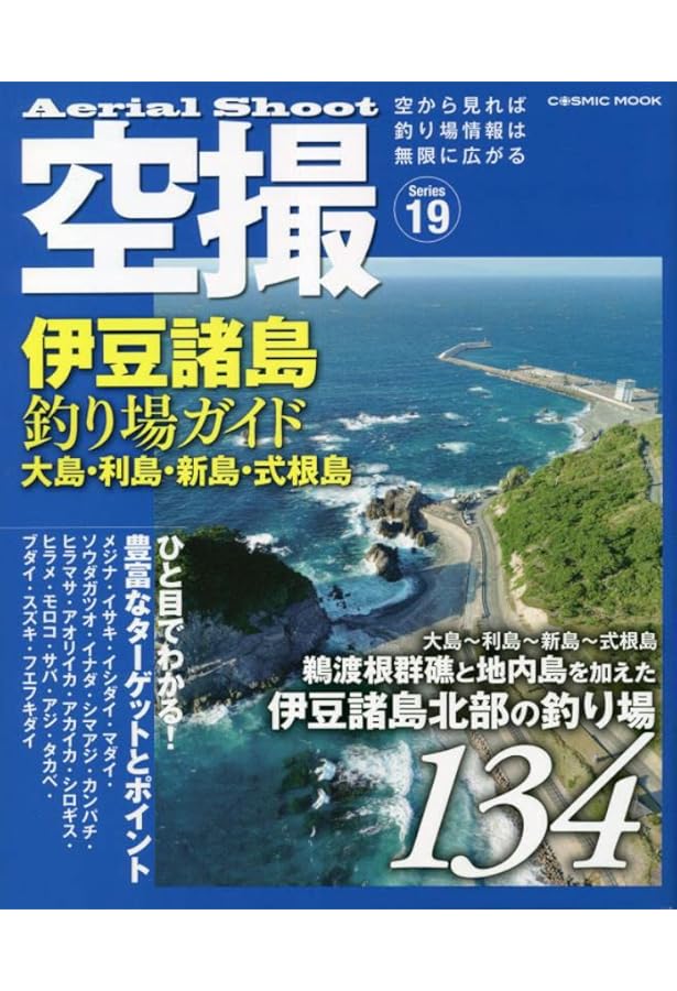 改訂版 房総半島パーフェクト地磯ガイド (BIG1 181) | 海悠出版 |本