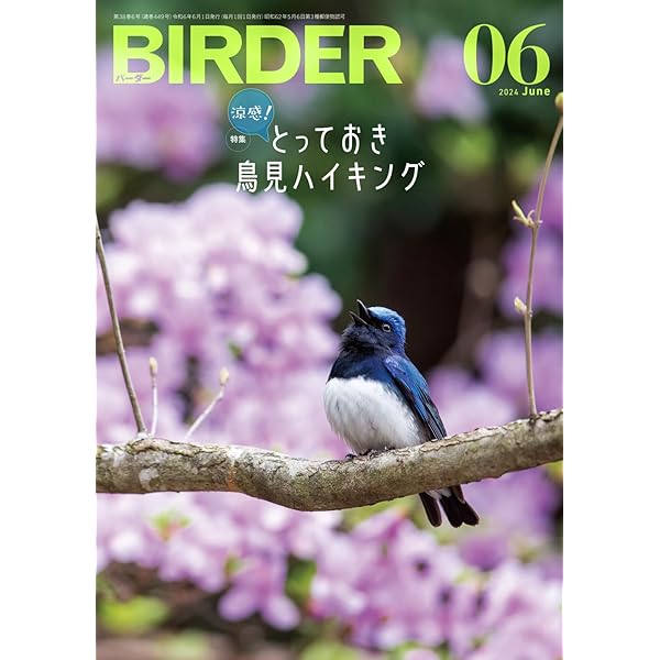 BIRDER（バーダー）2024年4月号 徹底解説！基本12種＋チャレンジ4種