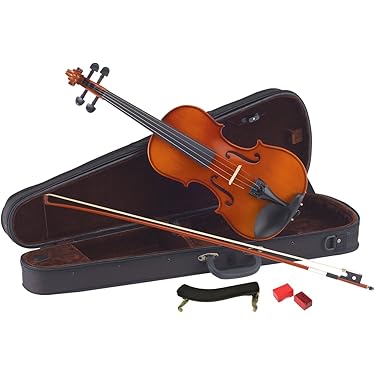 Amazon.co.jp ほしい物ランキング: バイオリン で、ほしい物リストと