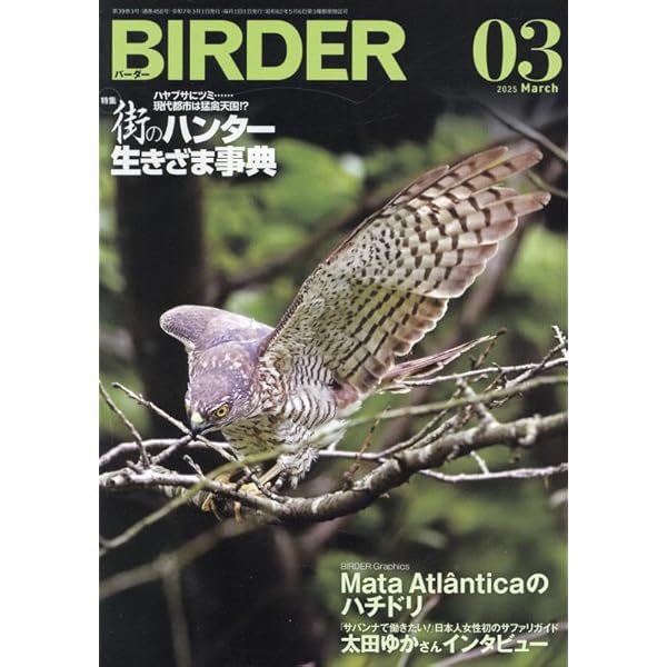 猛禽類学 | 山崎 亨 |本 | 通販 | Amazon