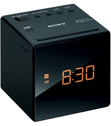 Amazon.co.jp: SONY FM/AMラジオ ICF-B100 : 家電＆カメラ