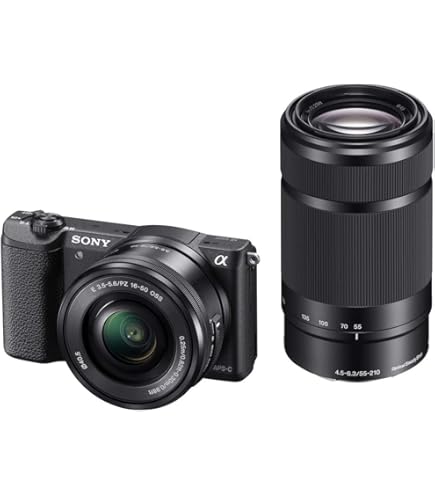 Amazon | SONY ミラーレス一眼 NEX-3N ダブルズームレンズキット E PZ