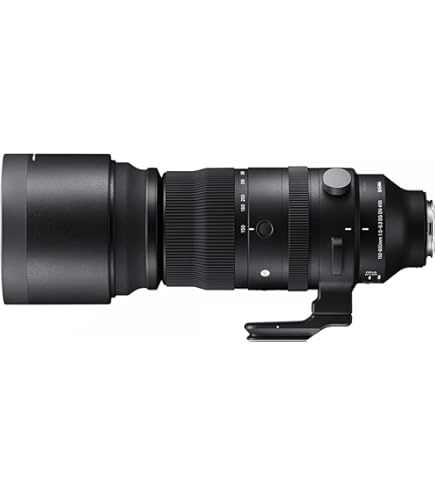 Amazon.co.jp: シグマ 170-500mm F5-6.3 APO DG ソニー用 : 家電＆カメラ