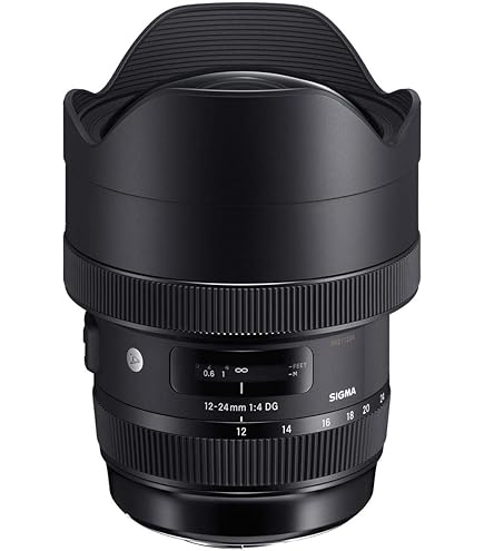 Amazon.co.jp: シグマ(Sigma) レンズ 14-24mm F2.8 DG HSM Canon