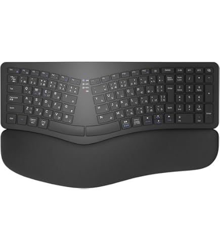 Amazon.co.jp: マイクロソフト キーボード Wired Keyboard 500