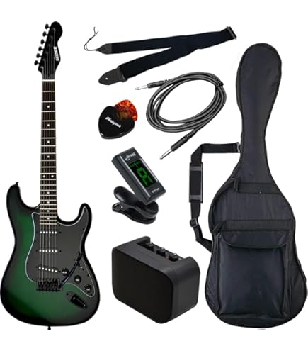 Amazon | SELDER セルダー エレキギター ストラトキャスタータイプ