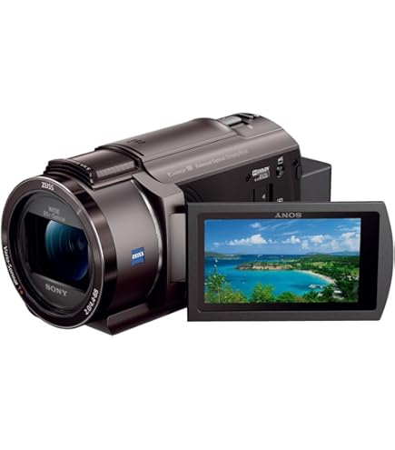 Amazon | 【整備済み品】 SONY ビデオカメラ HANDYCAM CX430V 光学30倍