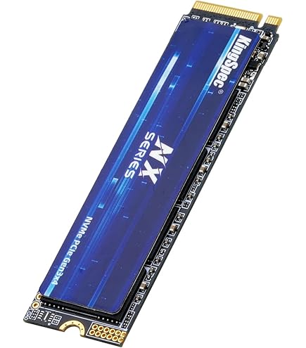 Amazon | LEVEN(レブン) JPS600 4TB PCIe ドラム読み取りなし 最大