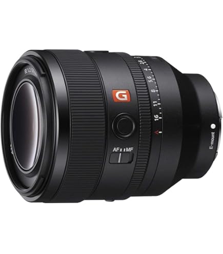 Amazon | FE 28-70mm F2 GM ソニーEマウント SEL2870GM 大口径標準