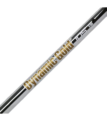 Amazon | Truetemper(トゥルーテンパー) シャフト Dynamic Gold