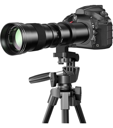 Amazon.co.jp: シグマ 170-500mm F5-6.3 APO DG ニコン用 : 家電＆カメラ