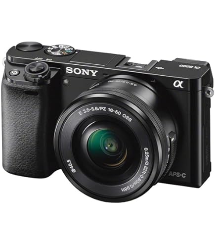 Amazon | SONY ミラーレス一眼カメラ α NEX-6ダブルズームレンズキット