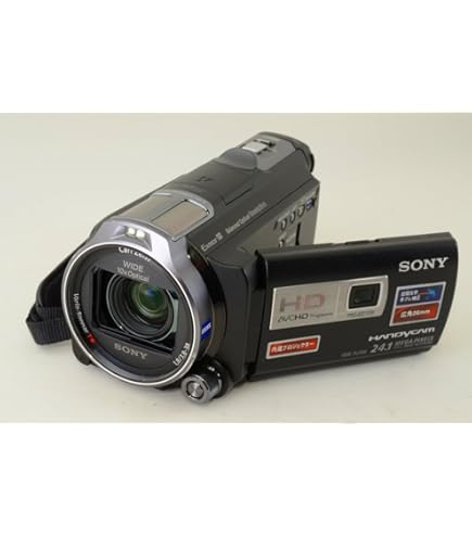 Amazon | SONY ビデオカメラ Handycam CX535 内蔵メモリ32GB ボルドー