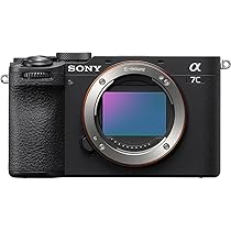 Amazon.co.jp: シグマ(Sigma) レンズ 28-70mm F2.8 DG DN Sony ソニー