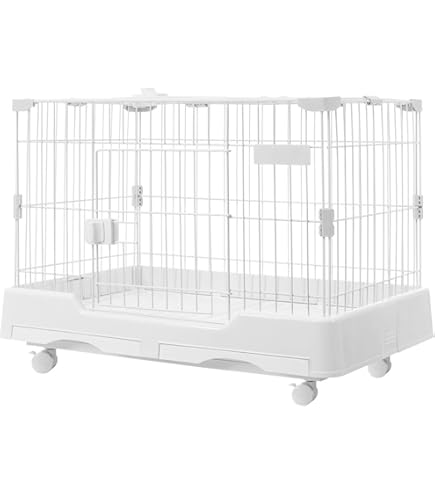 Amazon | 三晃商会 SANKO 小動物 組み立て C62 イージーホーム エボ