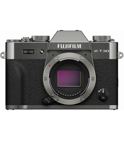 Amazon | FUJIFILM ミラーレス一眼 X-T100ダークシルバー X-T100-DS
