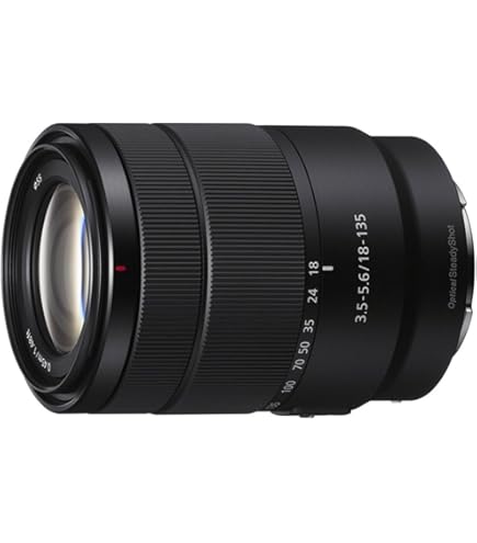 Amazon.co.jp: SONY(ソニー) 標準ズームレンズ APS-C E PZ 18-105mm F4