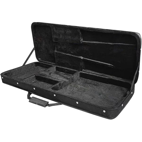 Amazon.co.jp: 【国内正規品】 FERNANDES フェルナンデス エレキギター