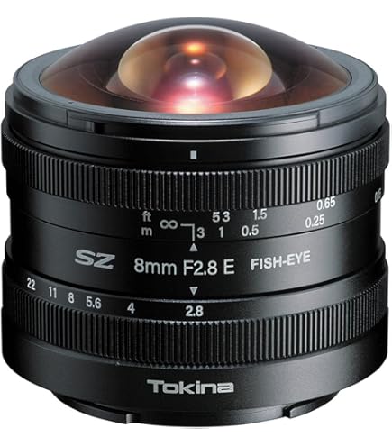 Amazon.co.jp: SIGMA 単焦点魚眼レンズ 10mm F2.8 EX DC FISHEYE HSM